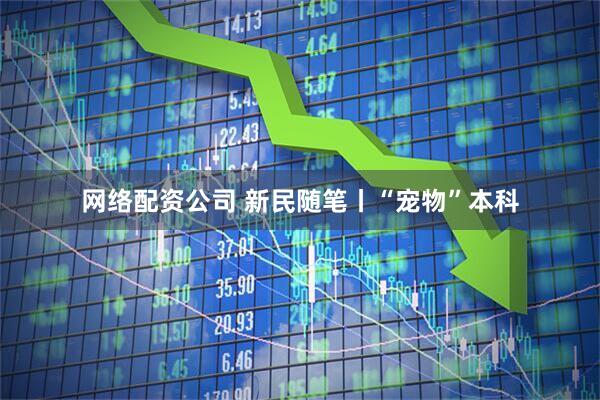 网络配资公司 新民随笔丨“宠物”本科