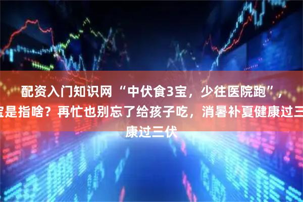 配资入门知识网 “中伏食3宝，少往医院跑”，3宝是指啥？再忙也别忘了给孩子吃，消暑补夏健康过三伏