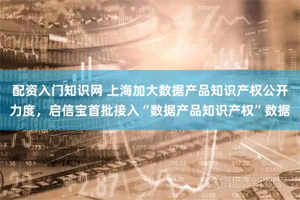 配资入门知识网 上海加大数据产品知识产权公开力度，启信宝首批接入“数据产品知识产权”数据
